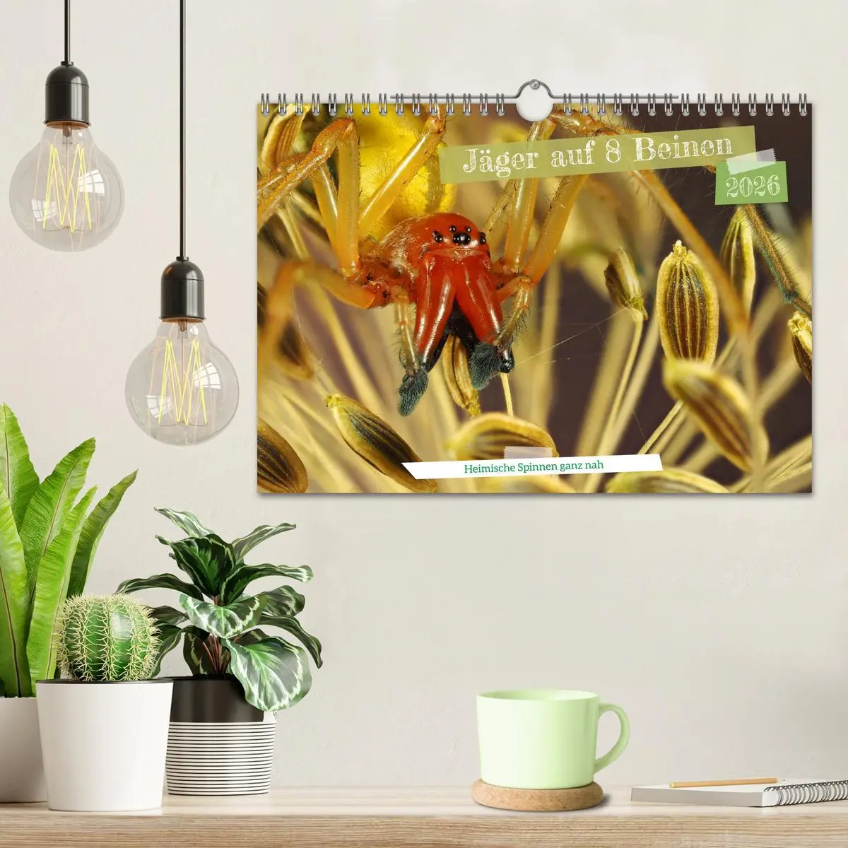 Bild: 9783457558386 | Jäger auf acht Beinen (Wandkalender 2026 DIN A4 quer), CALVENDO...