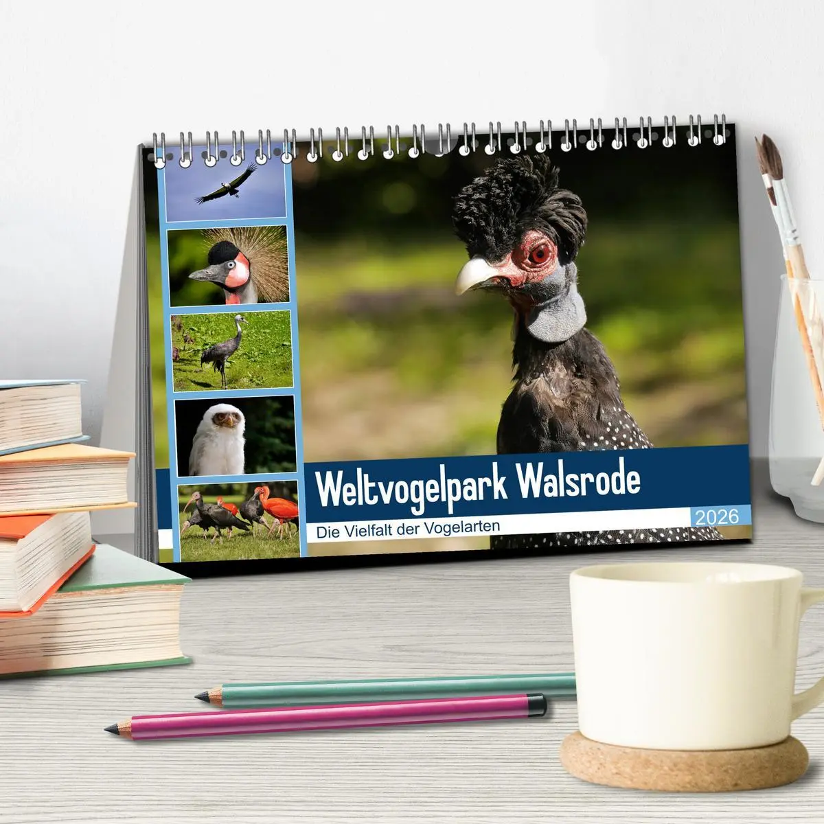 Bild: 9783457938386 | Weltvogelpark Walsrode - Die Vielfalt der Vogelarten (Tischkalender...