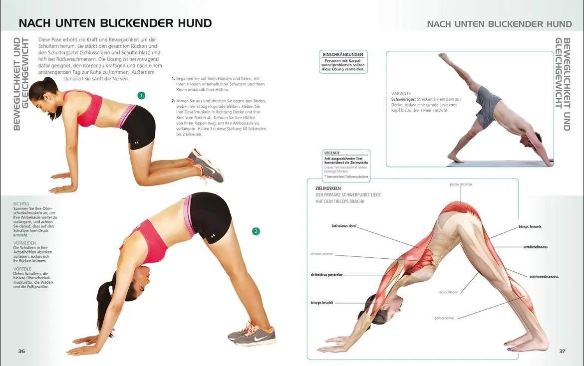 Bild: 9789089988386 | Die Anatomie des gerätelosen Workouts | Holles Lance Liebmann | Buch