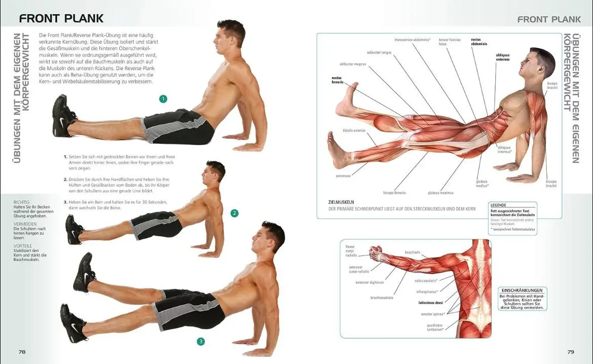 Bild: 9789089988386 | Die Anatomie des gerätelosen Workouts | Holles Lance Liebmann | Buch