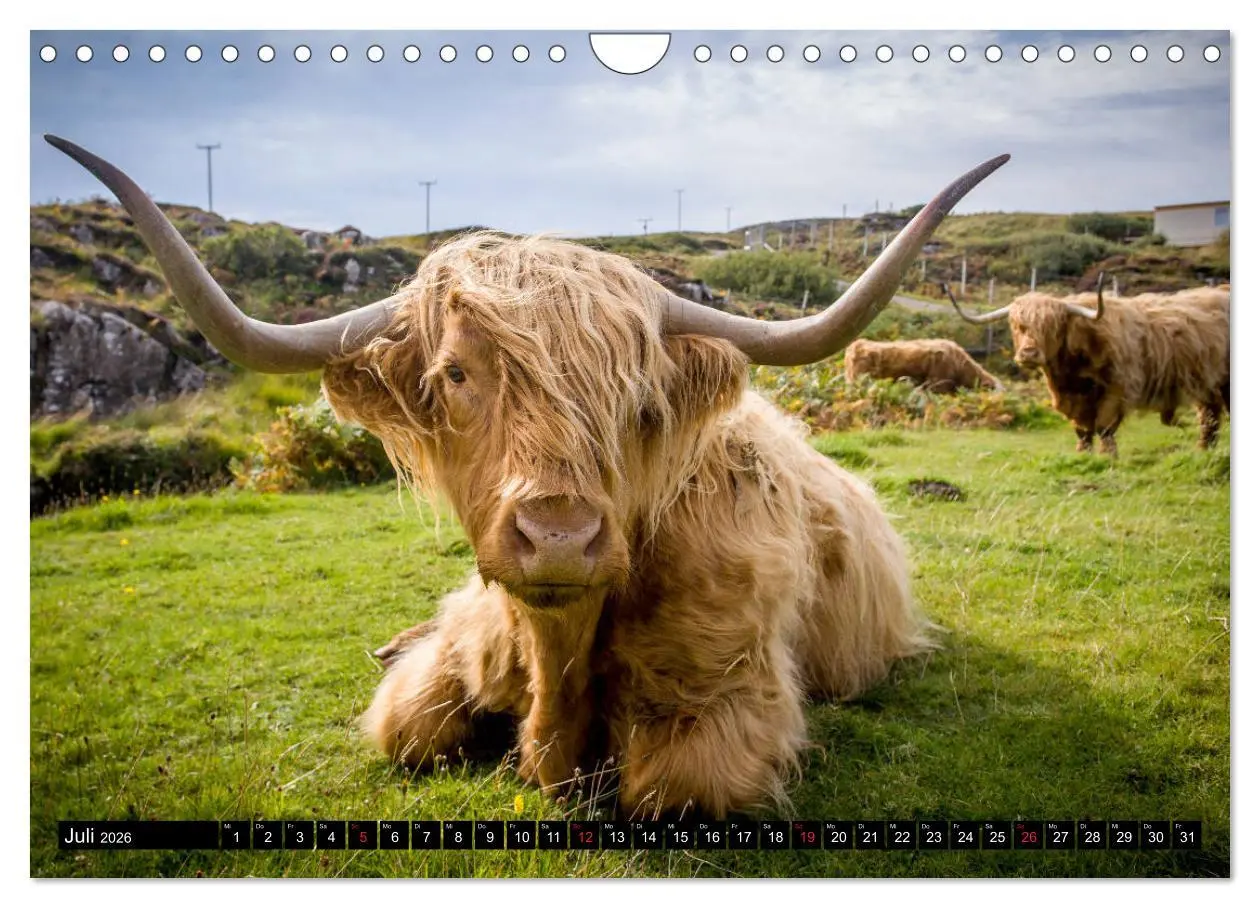 Bild: 9783457928486 | Schottland Momente (Wandkalender 2026 DIN A4 quer), CALVENDO...