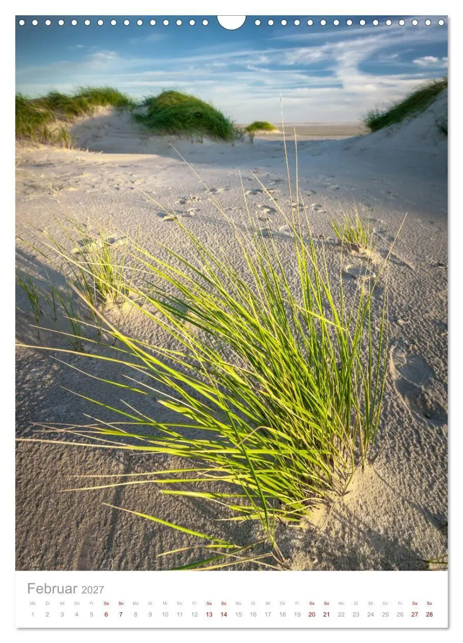 Bild: 9783569648586 | Amrum - Das Gesicht der Nordsee (Wandkalender 2027 DIN A3 hoch),...