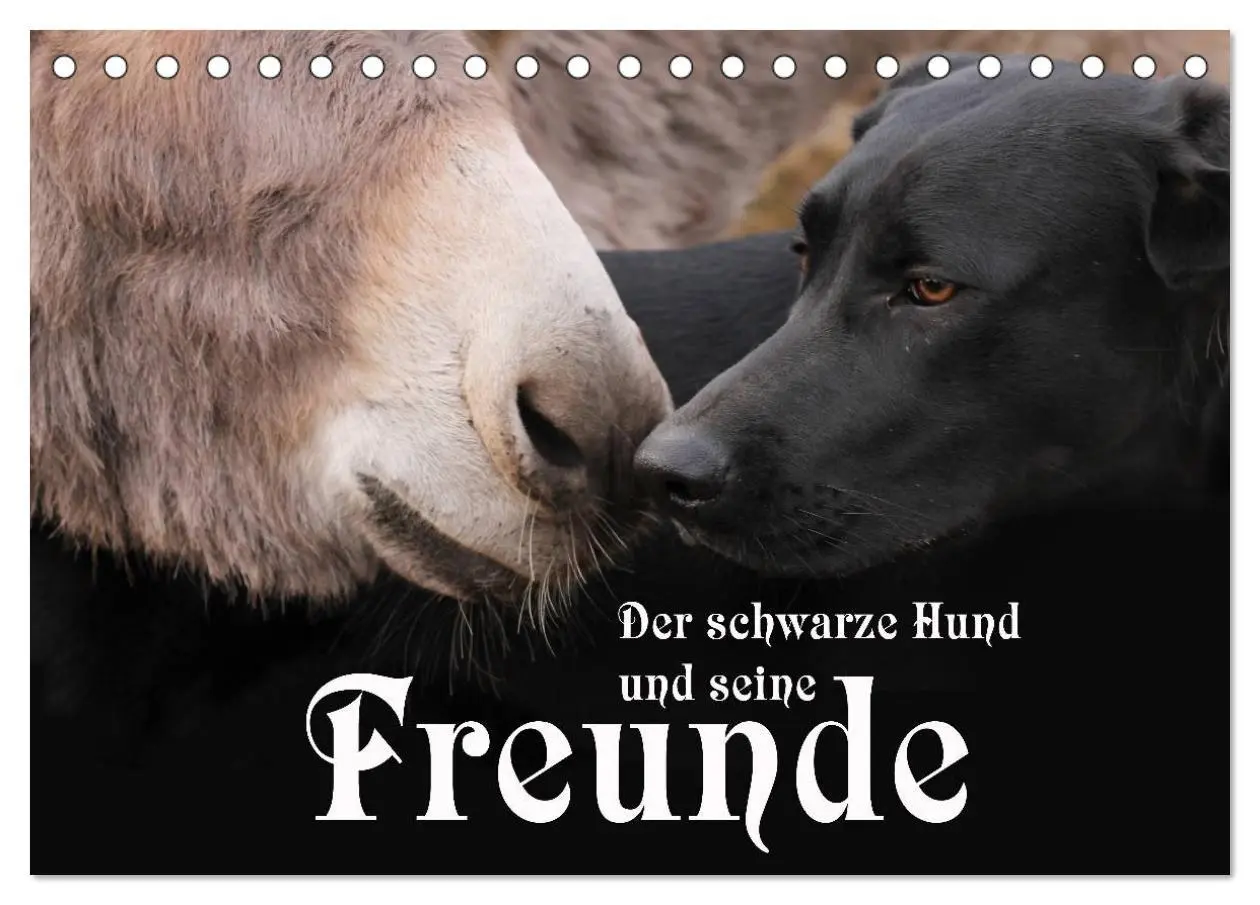 Cover: 9783516098686 | Der schwarze Hund und seine Freunde (Tischkalender 2026 DIN A5...