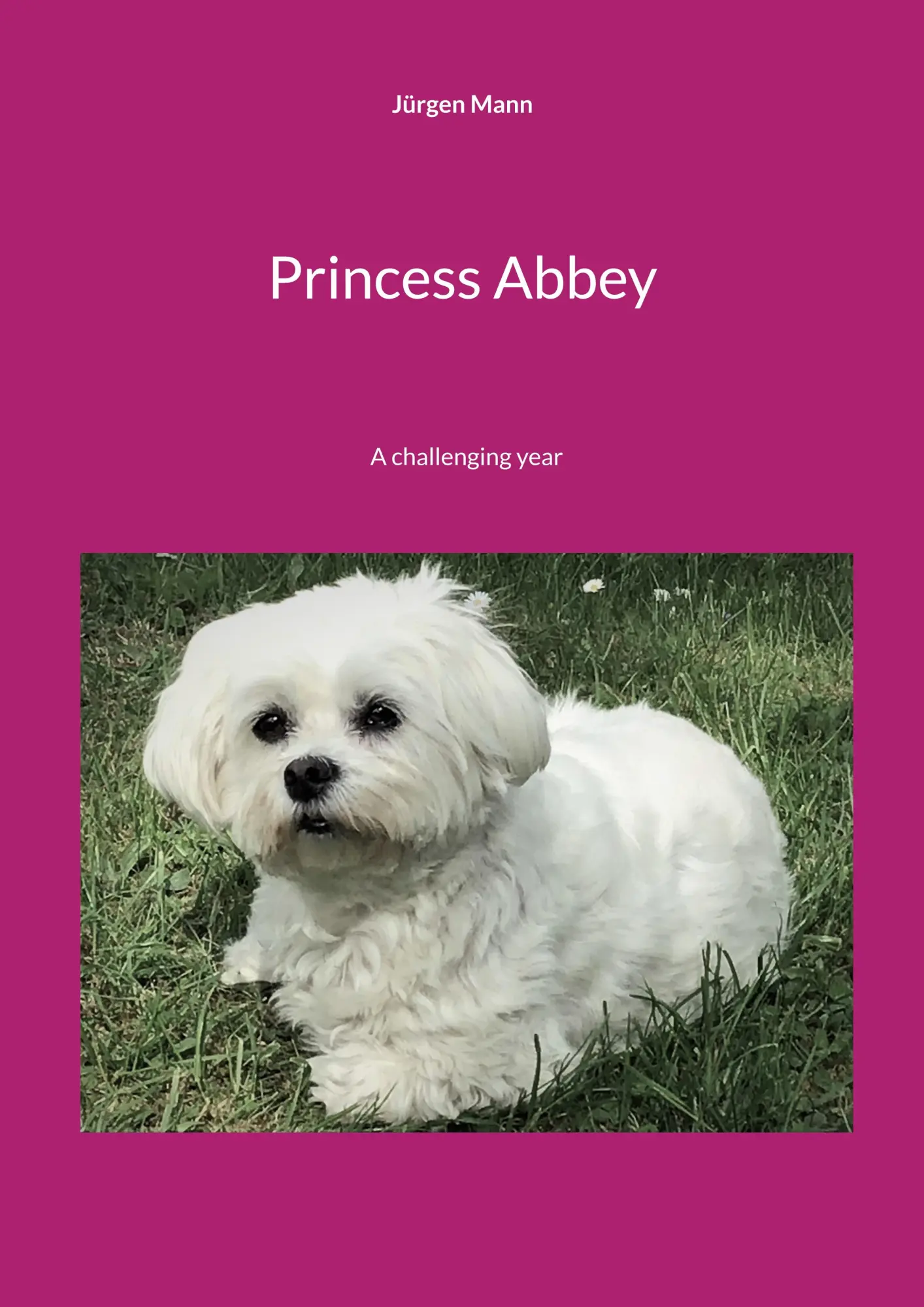 Princess Abbey: A challenging year.DE