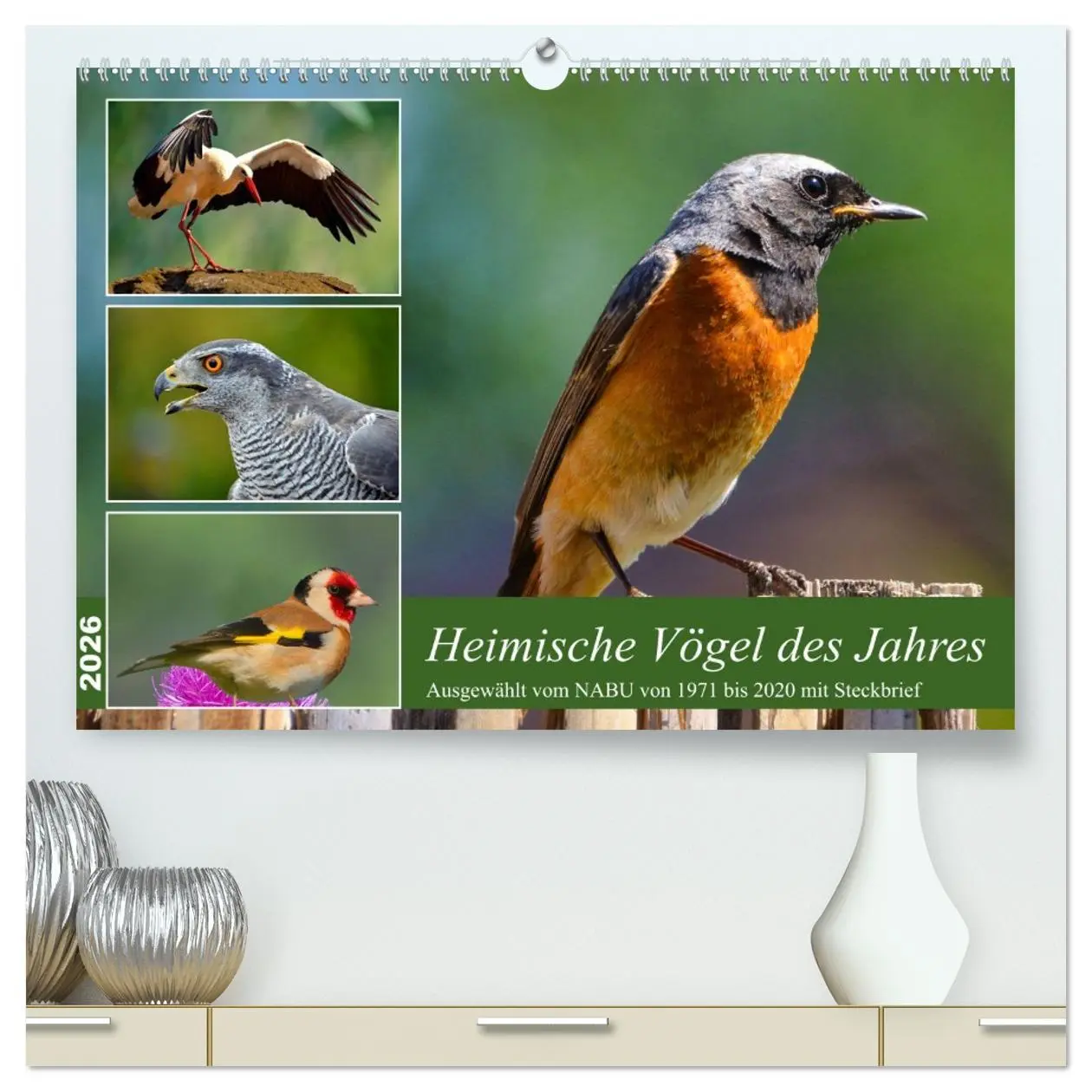 Cover: 9783457518786 | Heimische Vögel des Jahres (hochwertiger Premium Wandkalender 2026...
