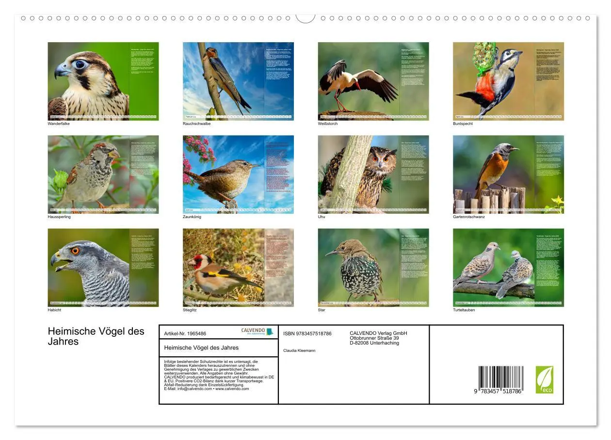 Bild: 9783457518786 | Heimische Vögel des Jahres (hochwertiger Premium Wandkalender 2026...