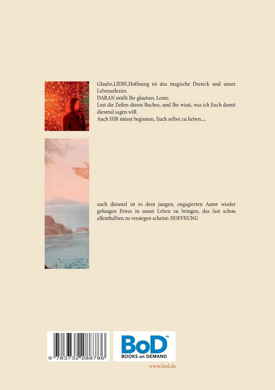 Rückseite: 9783732288786 | Nur die Liebe zählt | that's all you need | André Heresch | Buch