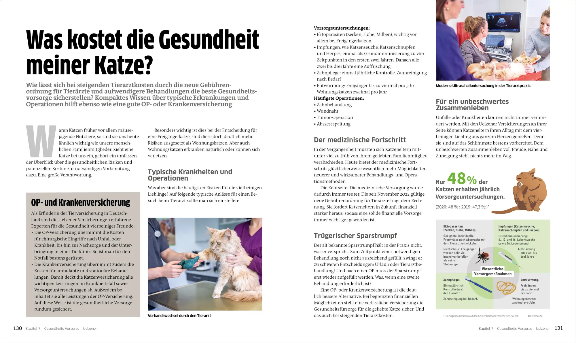 Bild: 9783838838786 | Die große Katzenbibel | Alles, was Sie über Katzen wissen müssen