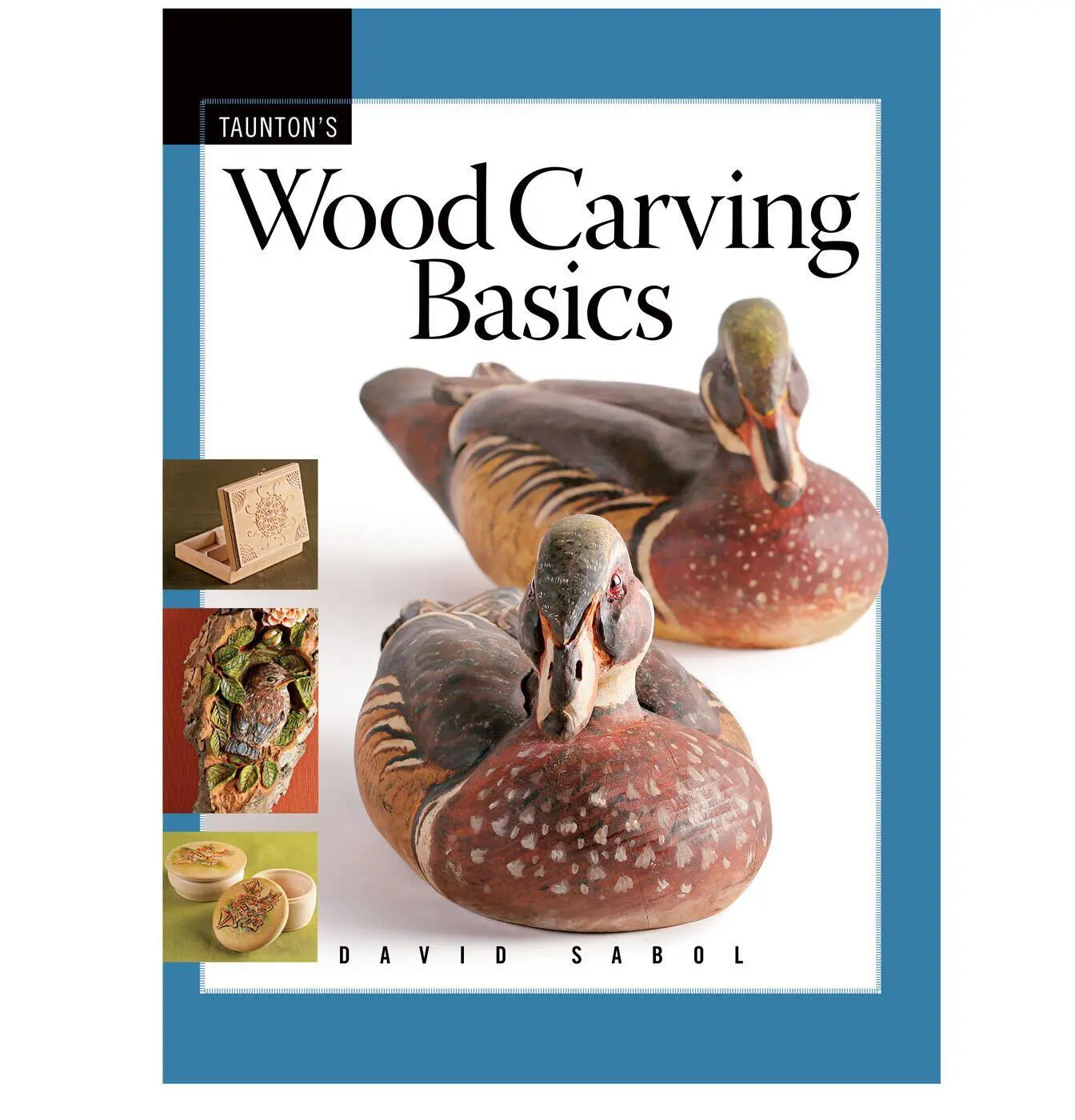 Cover: 9781561588886 | Wood Carving Basics | David Sabol | Taschenbuch | Englisch | 2008