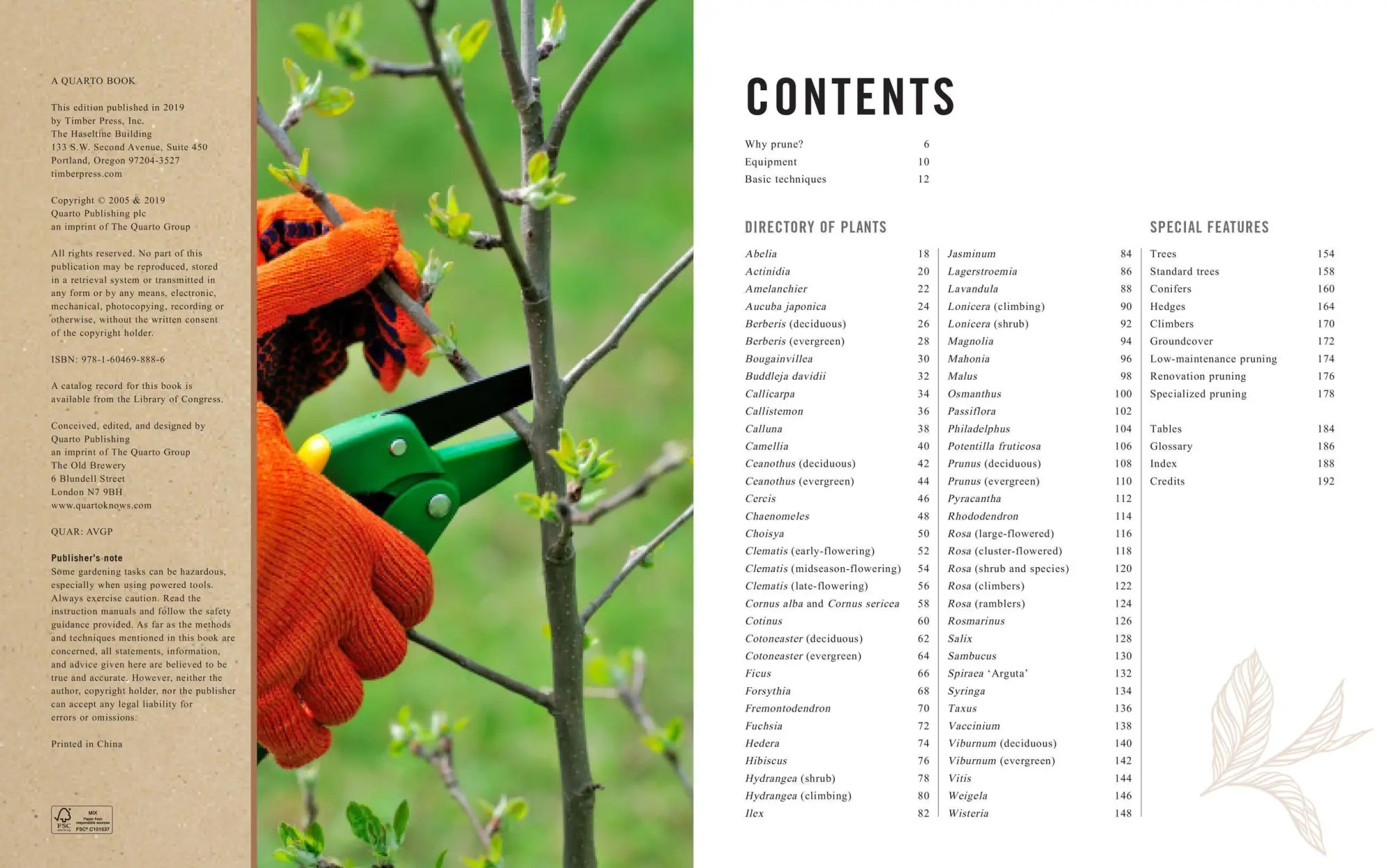 Bild: 9781604698886 | Pruning Simplified | Steven Bradley | Taschenbuch | Englisch | 2019