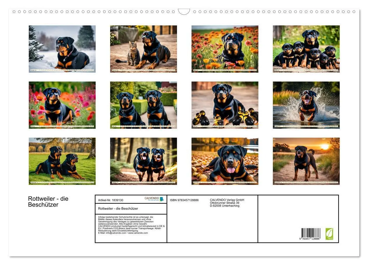 Bild: 9783457128886 | Rottweiler - die Beschützer (Wandkalender 2025 DIN A2 quer),...