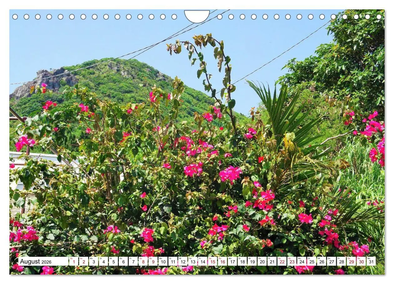Bild: 9783457678886 | Okinawa - Subtropische Inselwelt im Süden Japans (Wandkalender 2026...