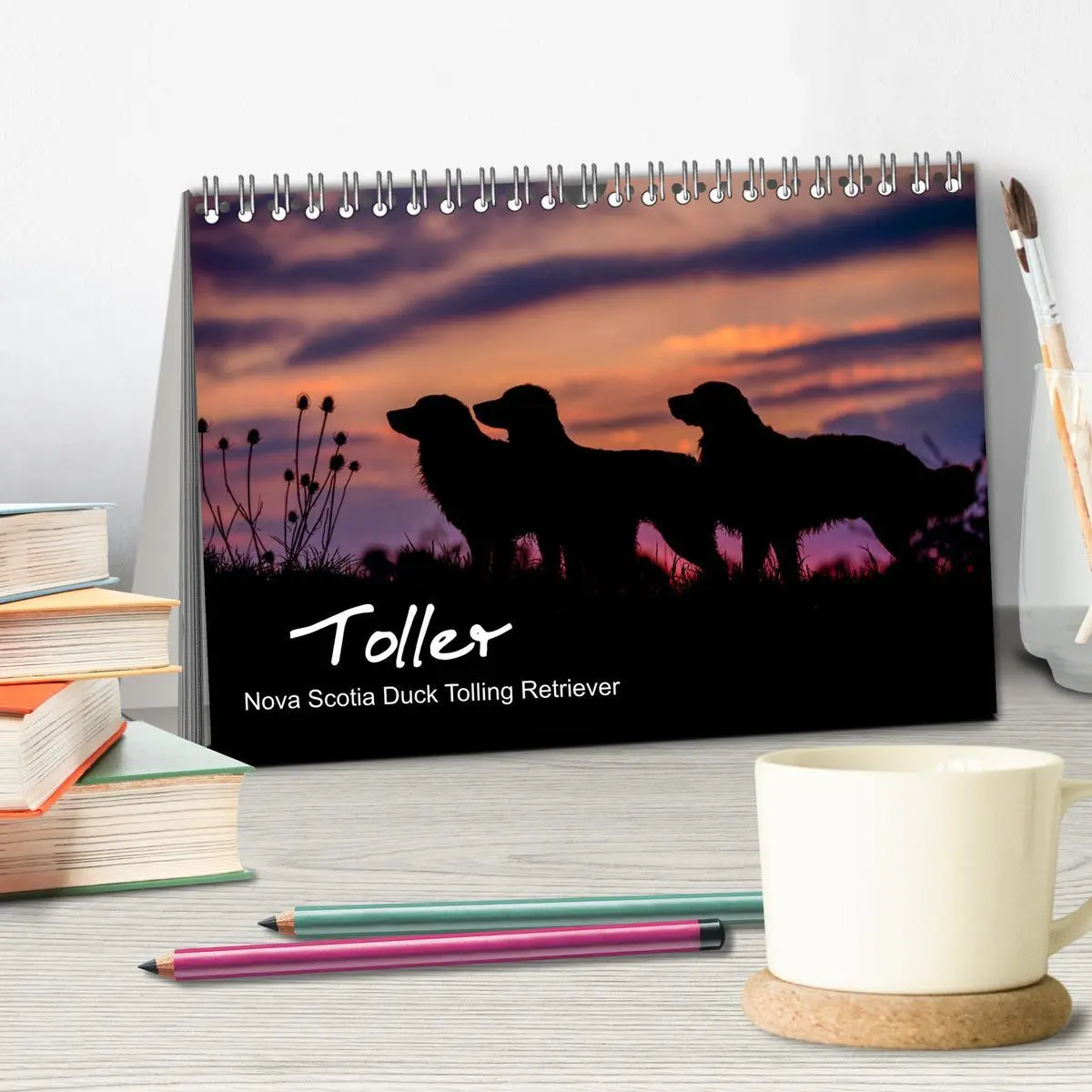 Bild: 9783457748886 | Toller - Nova Scotia Duck Tolling Retriever (Tischkalender 2026 DIN...