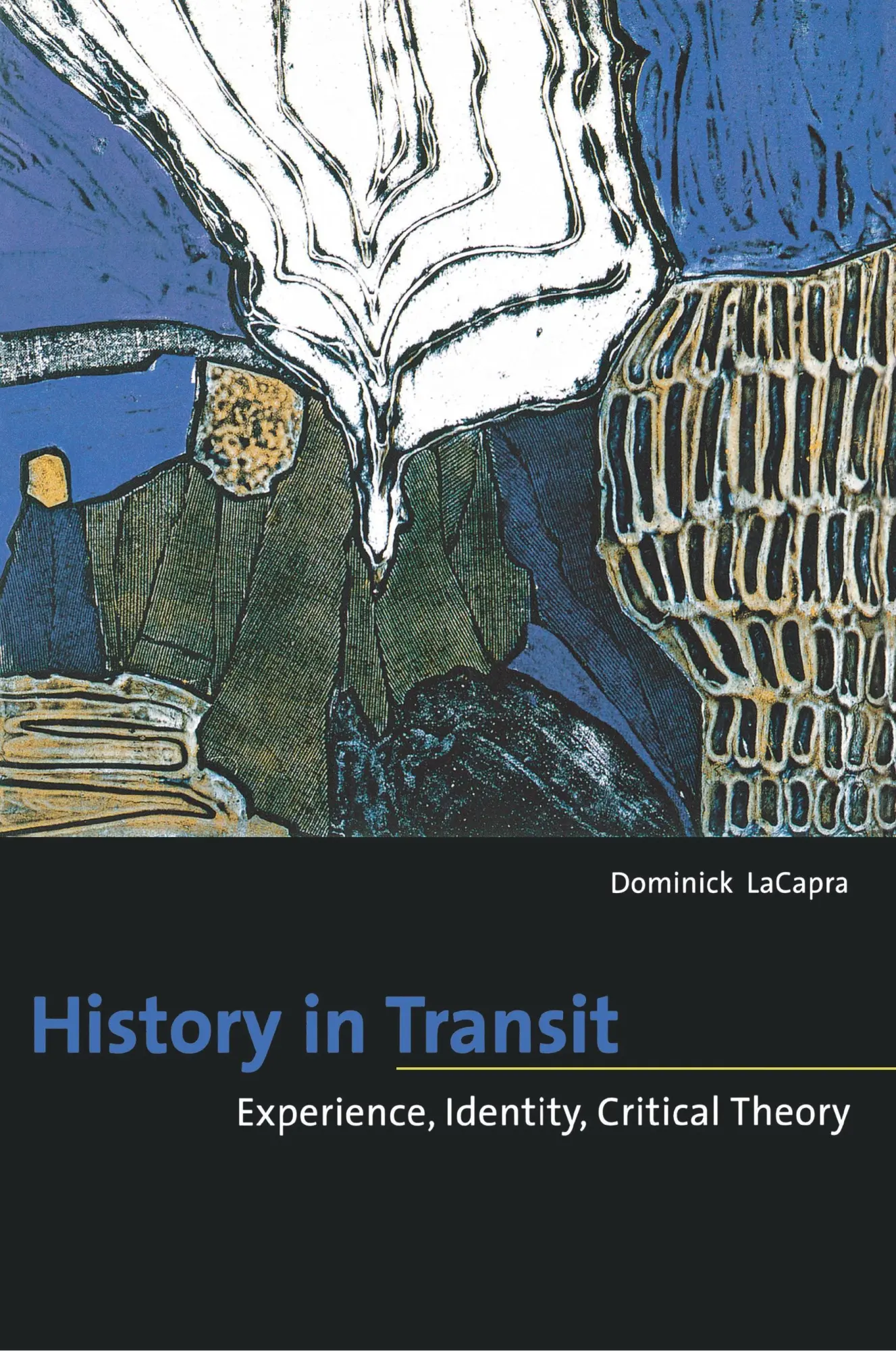 Cover: 9780801488986 | History in Transit – Experience, Identity, Critical Theory | Lacapra