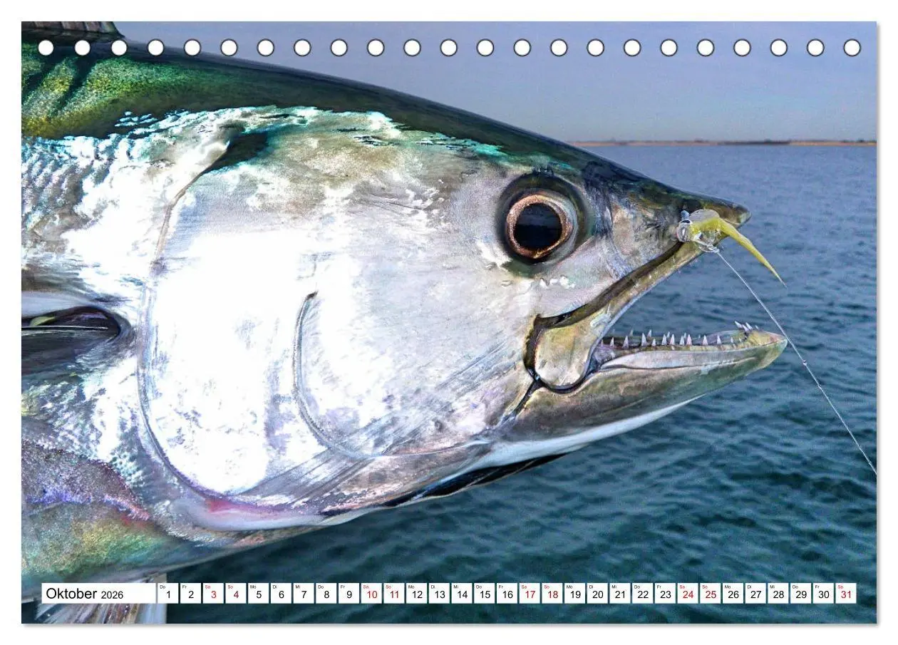 Bild: 9783457598986 | Anglerglück - den Fisch am Haken (Tischkalender 2026 DIN A5 quer),...