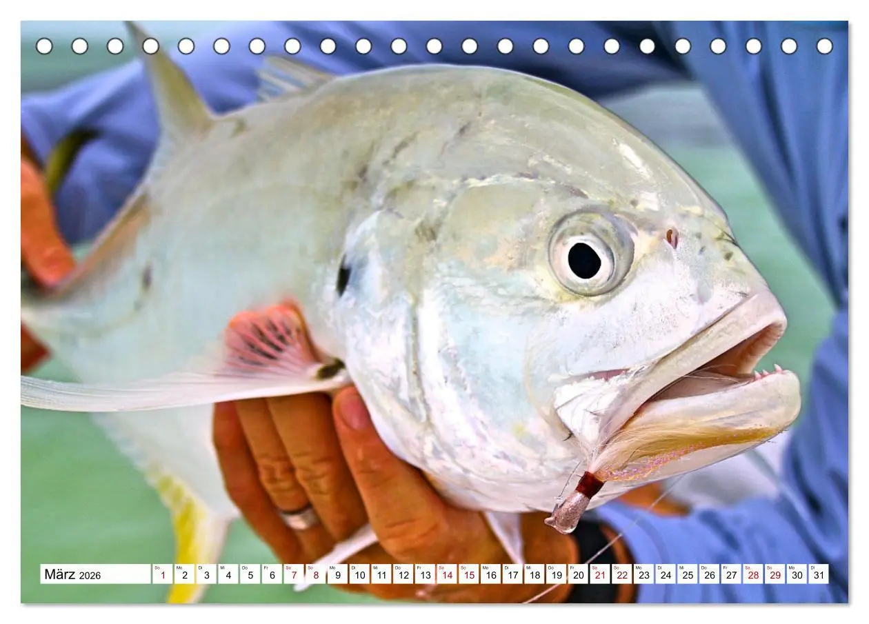 Bild: 9783457598986 | Anglerglück - den Fisch am Haken (Tischkalender 2026 DIN A5 quer),...