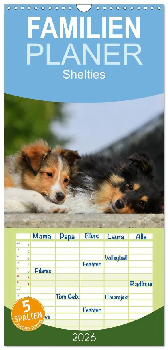 Cover: 9783516518986 | Familienplaner 2026 - Shelties 2026 mit 5 Spalten (Wandkalender, 21...