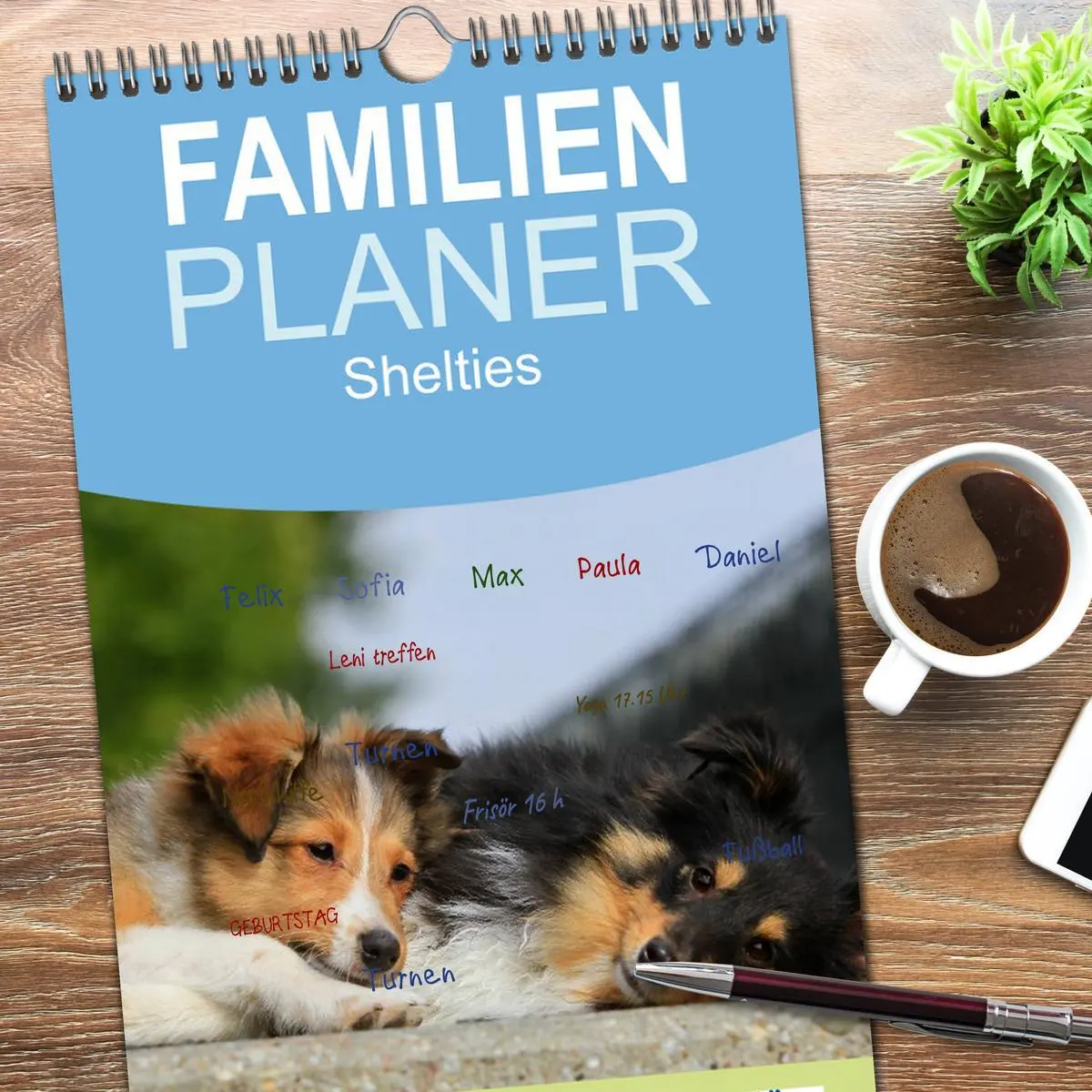 Bild: 9783516518986 | Familienplaner 2026 - Shelties 2026 mit 5 Spalten (Wandkalender, 21...