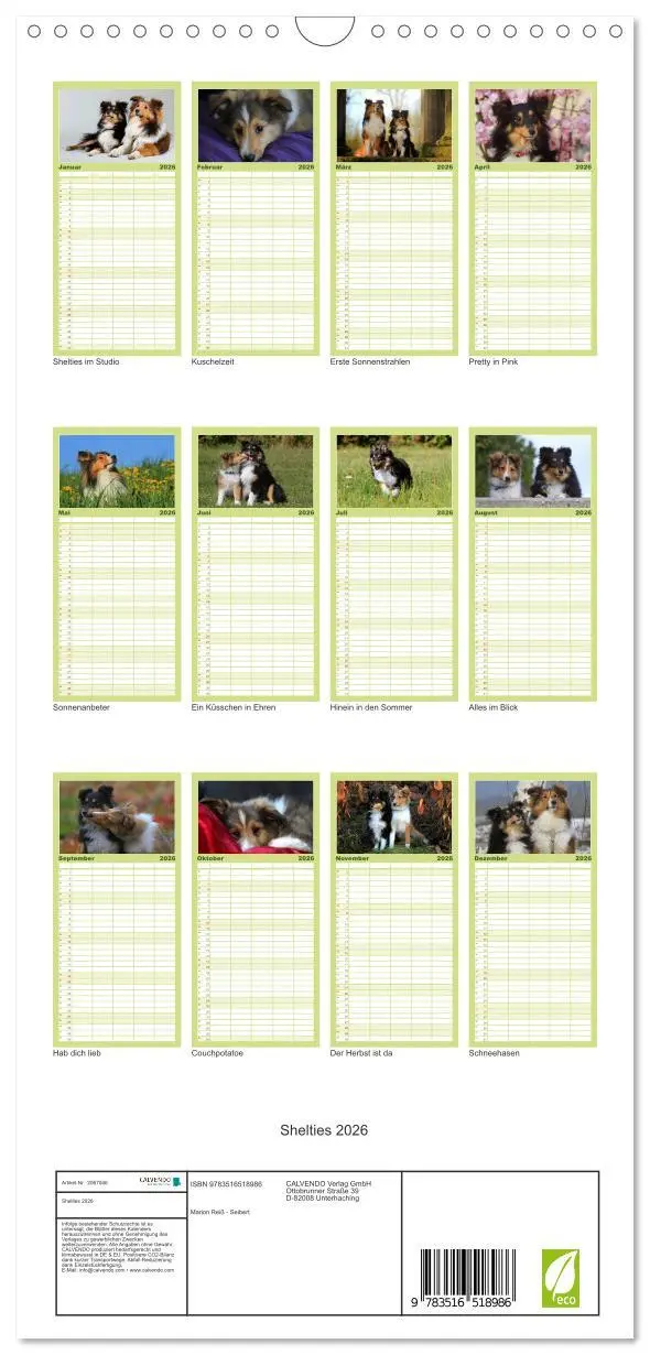 Bild: 9783516518986 | Familienplaner 2026 - Shelties 2026 mit 5 Spalten (Wandkalender, 21...