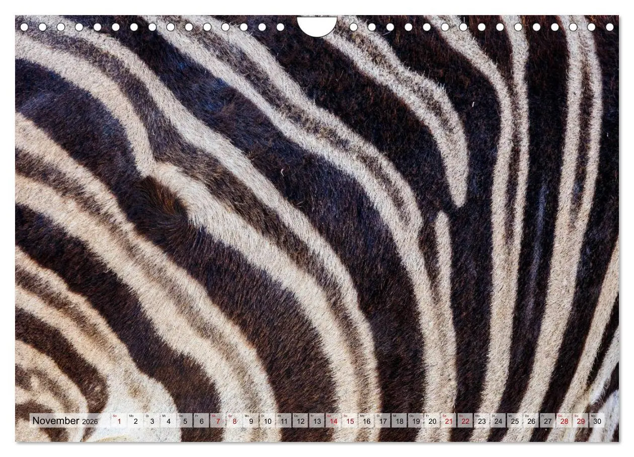 Bild: 9783457869086 | Südafrika: Kapstadt, Garden Route und Cape Winelands (Wandkalender...