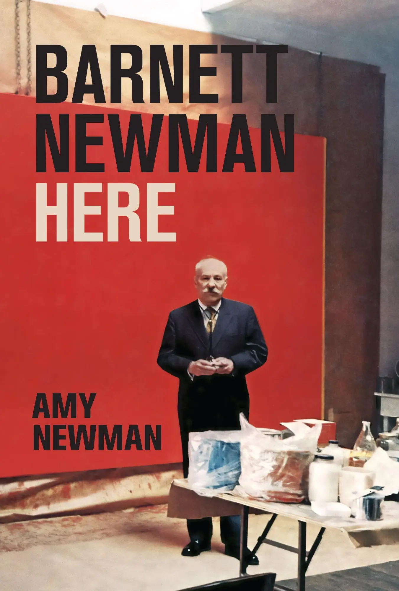 Cover: 9780691249186 | Barnett Newman | Here | Amy Newman | Buch | Einband - fest (Hardcover)