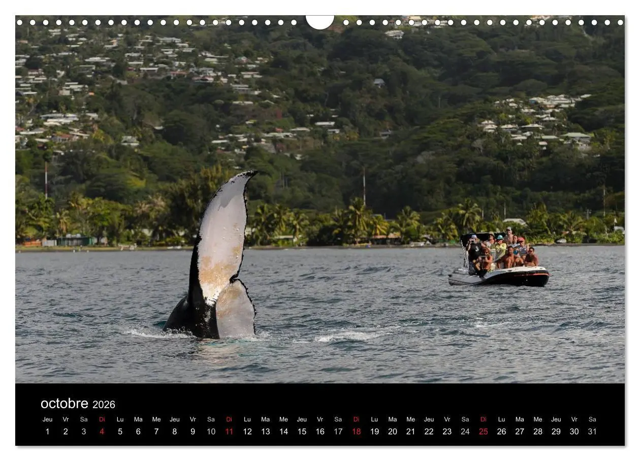 Bild: 9783516569186 | Polynésie française - Magie des îles (Calendrier mural 2026 DIN A3...
