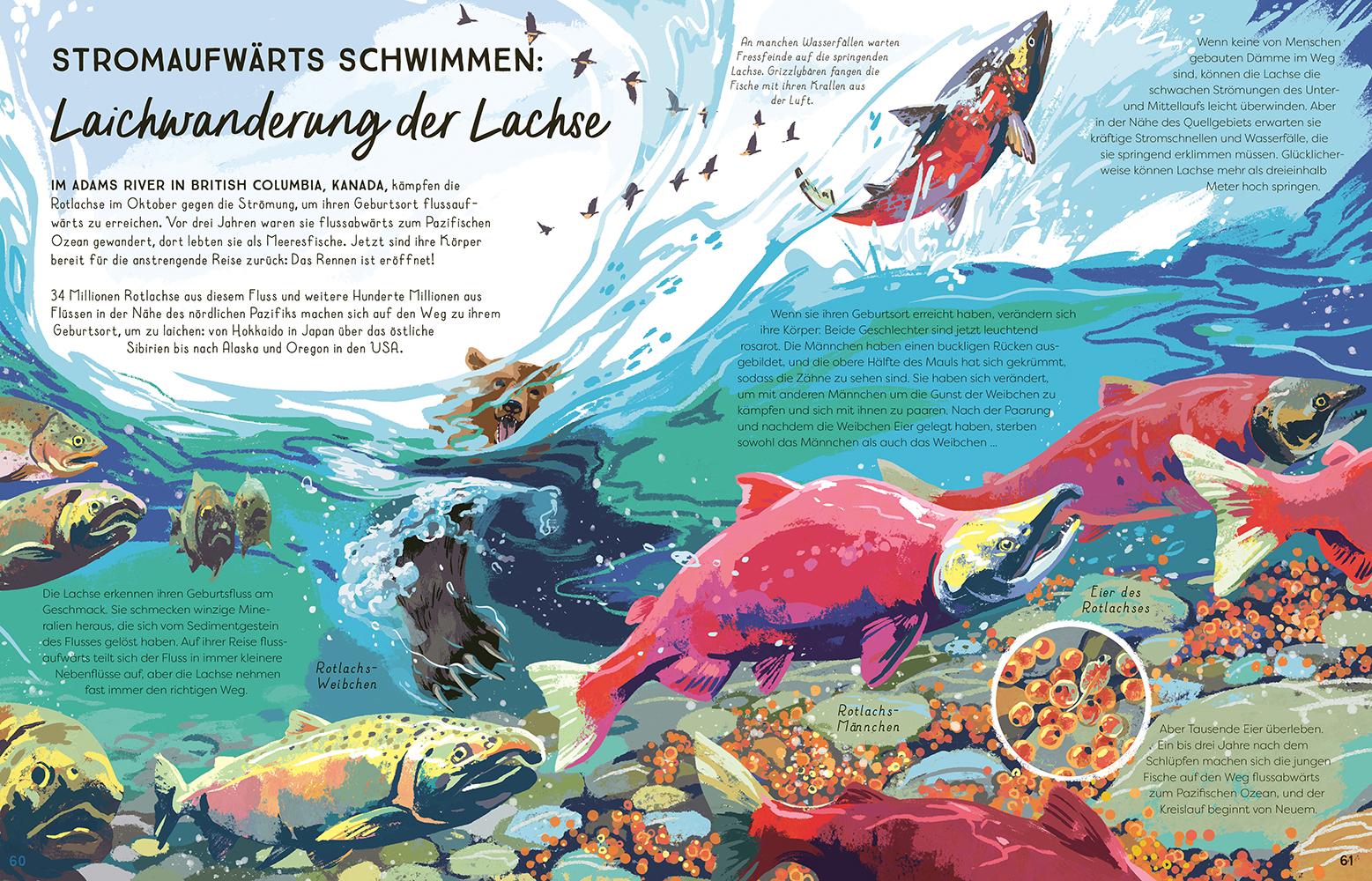 Bild: 9783957289186 | Flüsse | Eine unglaubliche Reise von der Quelle bis zum Meer | Chapman