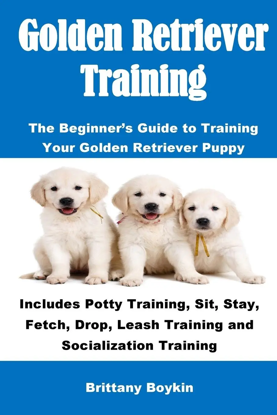 Cover: 9781948489386 | Golden Retriever Training | Brittany Boykin | Taschenbuch | Englisch