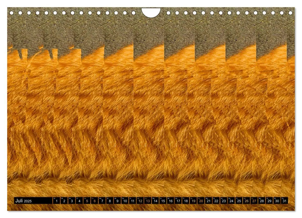 Bild: 9783435129386 | Magische Bilder - 3D Stereogramme (Wandkalender 2025 DIN A4 quer),...