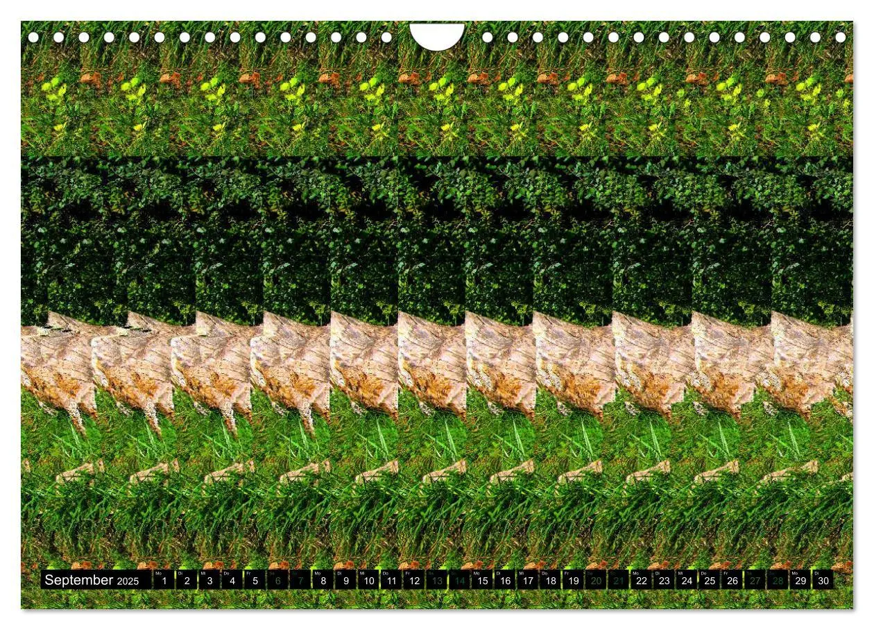 Bild: 9783435129386 | Magische Bilder - 3D Stereogramme (Wandkalender 2025 DIN A4 quer),...