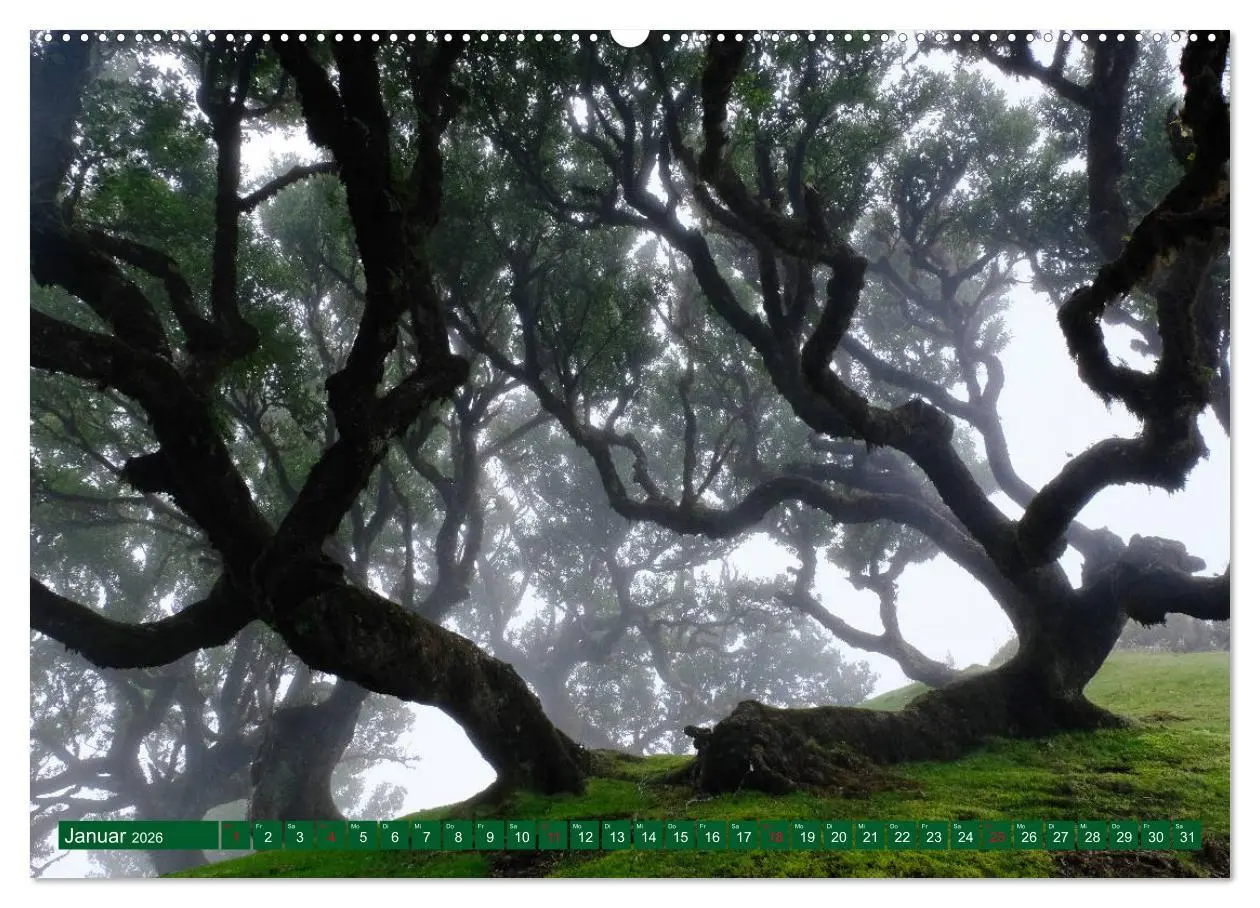 Bild: 9783457769386 | Madeira Blumeninsel im Atlantik (Wandkalender 2026 DIN A2 quer),...