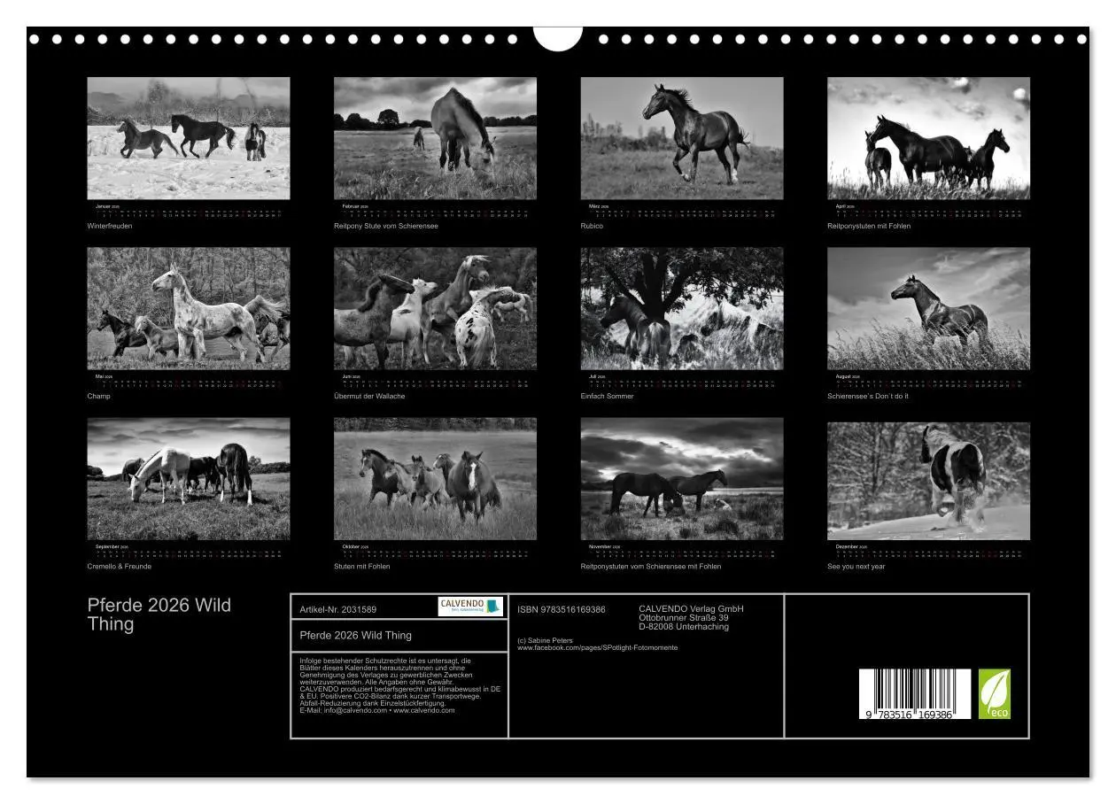 Bild: 9783516169386 | Pferde 2026 Wild Thing (Wandkalender 2026 DIN A3 quer), CALVENDO...