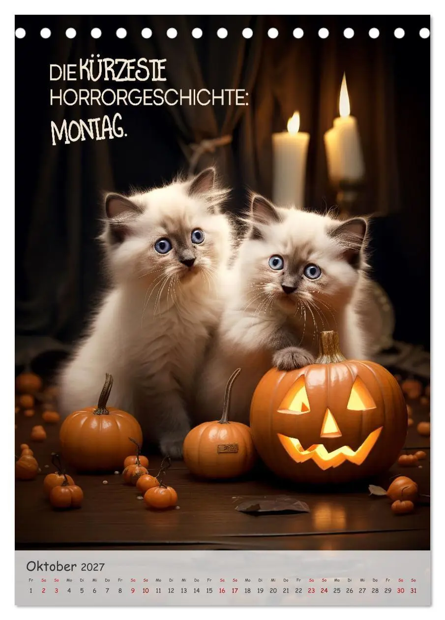 Bild: 9783569189386 | COOLE KATZEN Sprücheklopfer (Tischkalender 2027 DIN A5 hoch),...