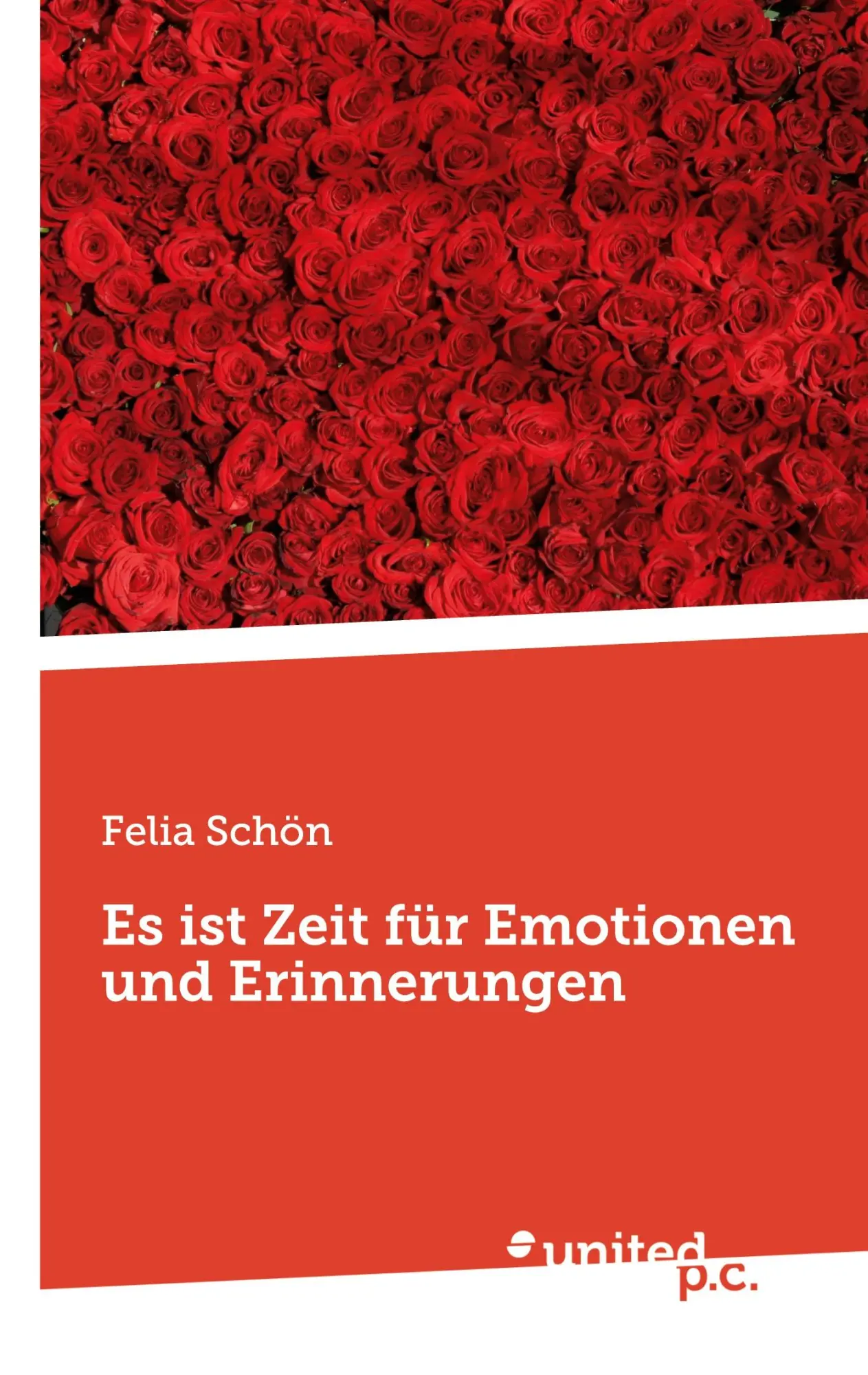 Cover: 9783710349386 | Es ist Zeit für Emotionen und Erinnerungen | Felia Schön | Taschenbuch