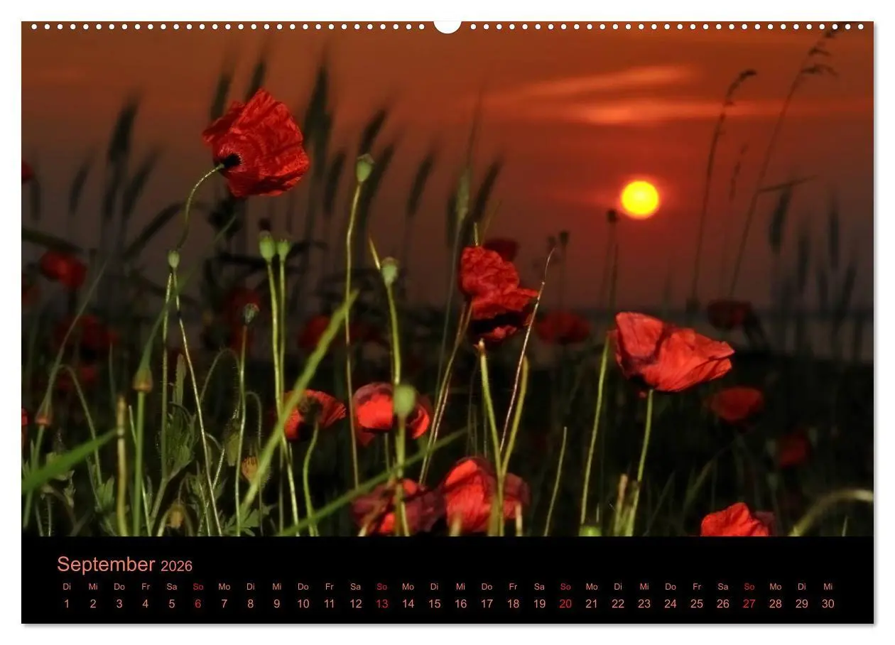 Bild: 9783516229486 | Sonnenuntergang (Wandkalender 2026 DIN A2 quer), CALVENDO...