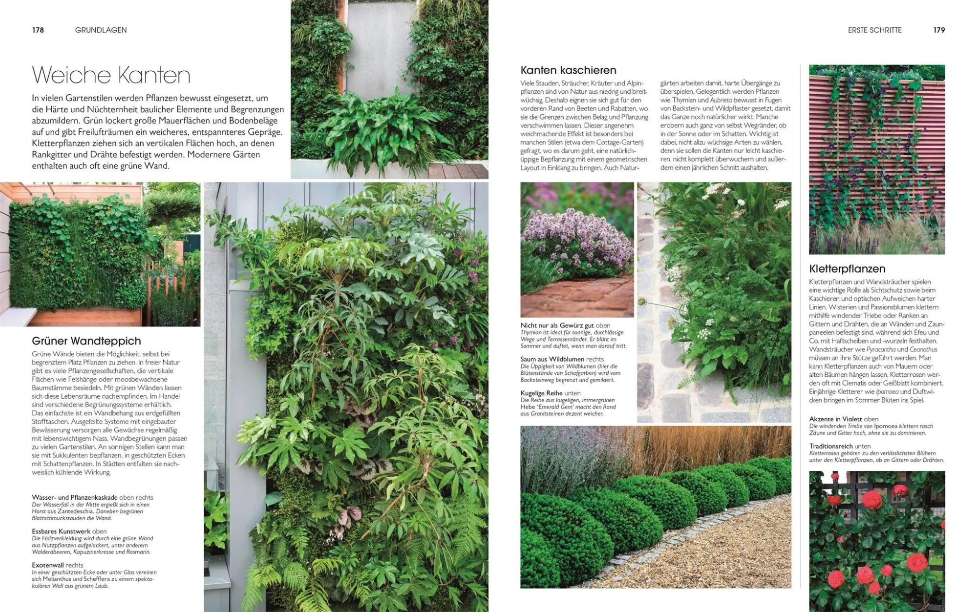 Bild: 9783831049486 | Gartendesign - Die große Enzyklopädie | DK Verlag (u. a.) | Buch