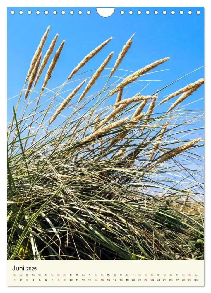 Bild: 9783435969586 | LANGEOOG Strandspaziergang (Wandkalender 2025 DIN A4 hoch),...