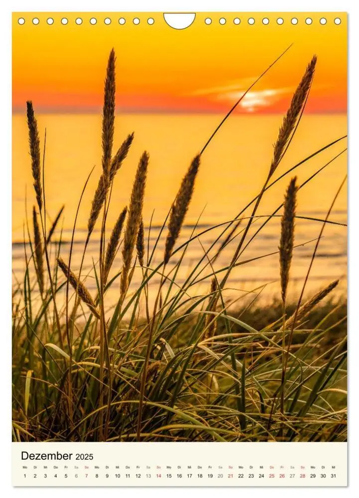 Bild: 9783435969586 | LANGEOOG Strandspaziergang (Wandkalender 2025 DIN A4 hoch),...