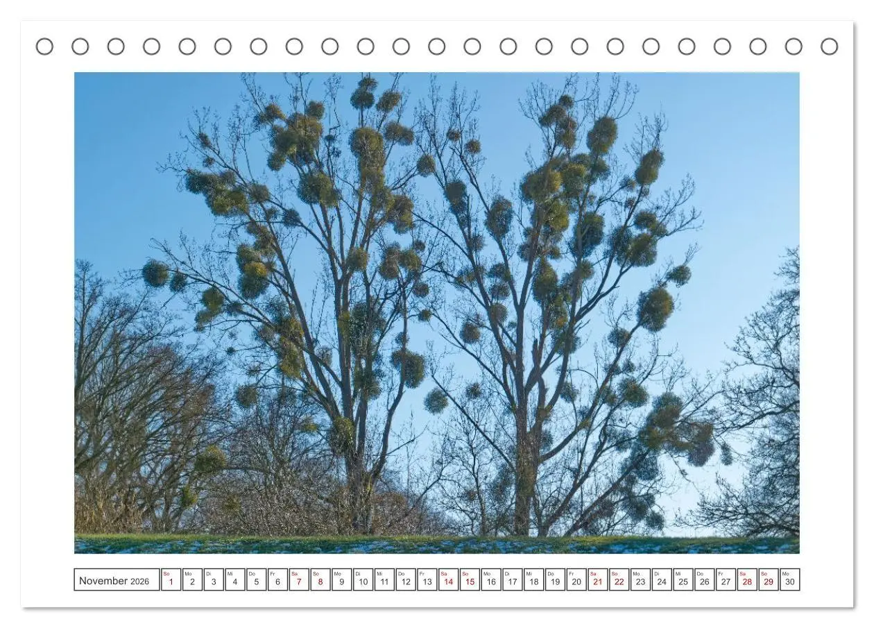 Bild: 9783457299586 | Hansestädte der Altmark (Tischkalender 2026 DIN A5 quer), CALVENDO...