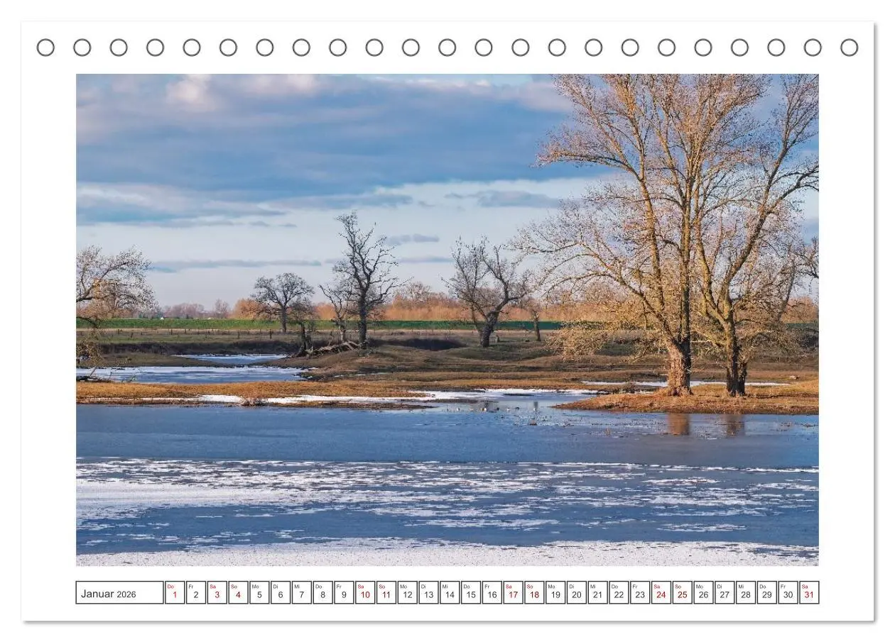 Bild: 9783457299586 | Hansestädte der Altmark (Tischkalender 2026 DIN A5 quer), CALVENDO...