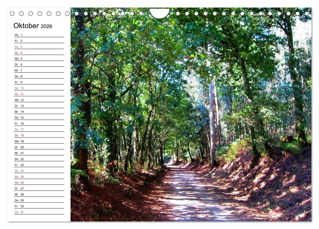 Bild: 9783457989586 | Camino Portugues - Jakobsweg (Wandkalender 2026 DIN A4 quer),...