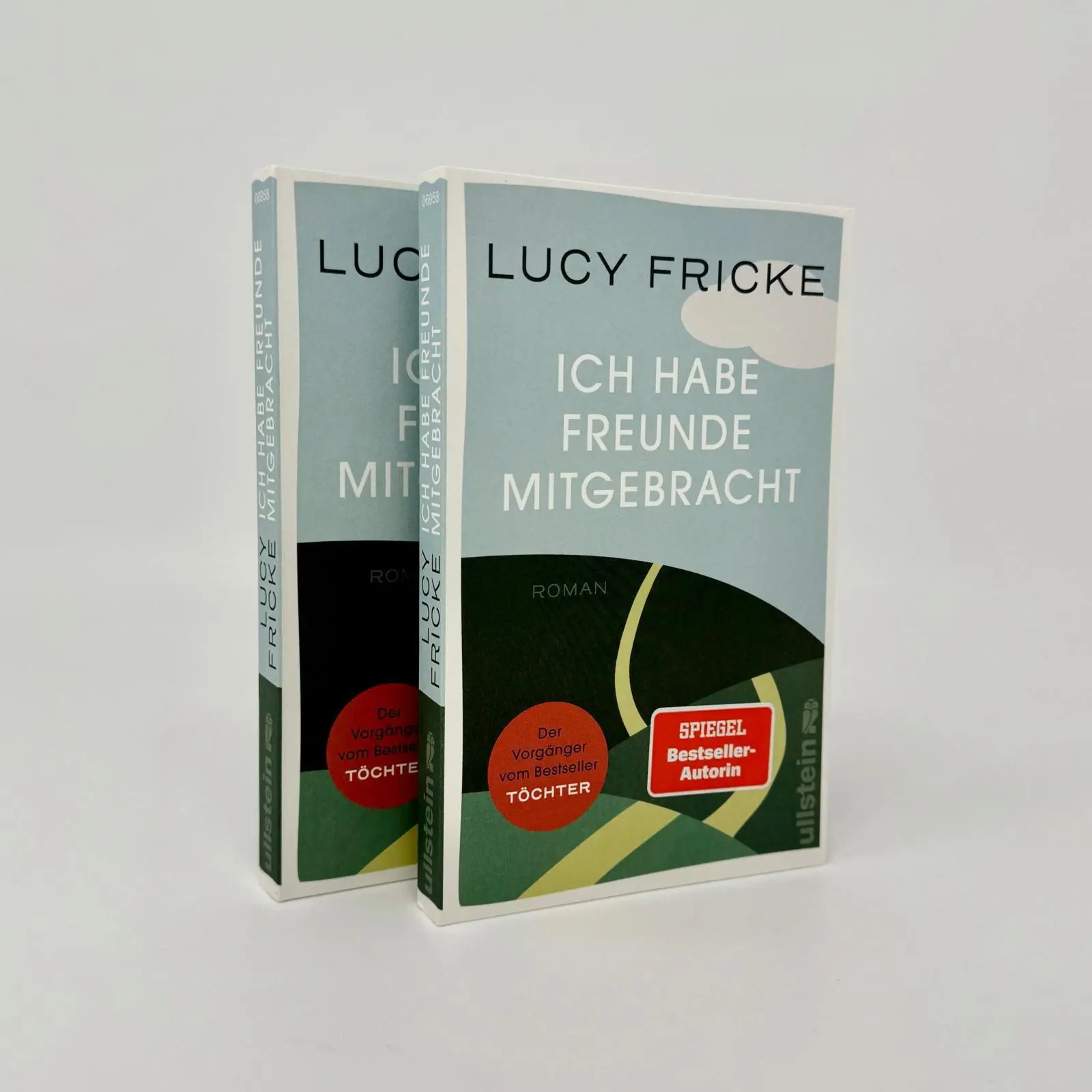 Bild: 9783548069586 | Ich habe Freunde mitgebracht | Lucy Fricke | Taschenbuch | 192 S.