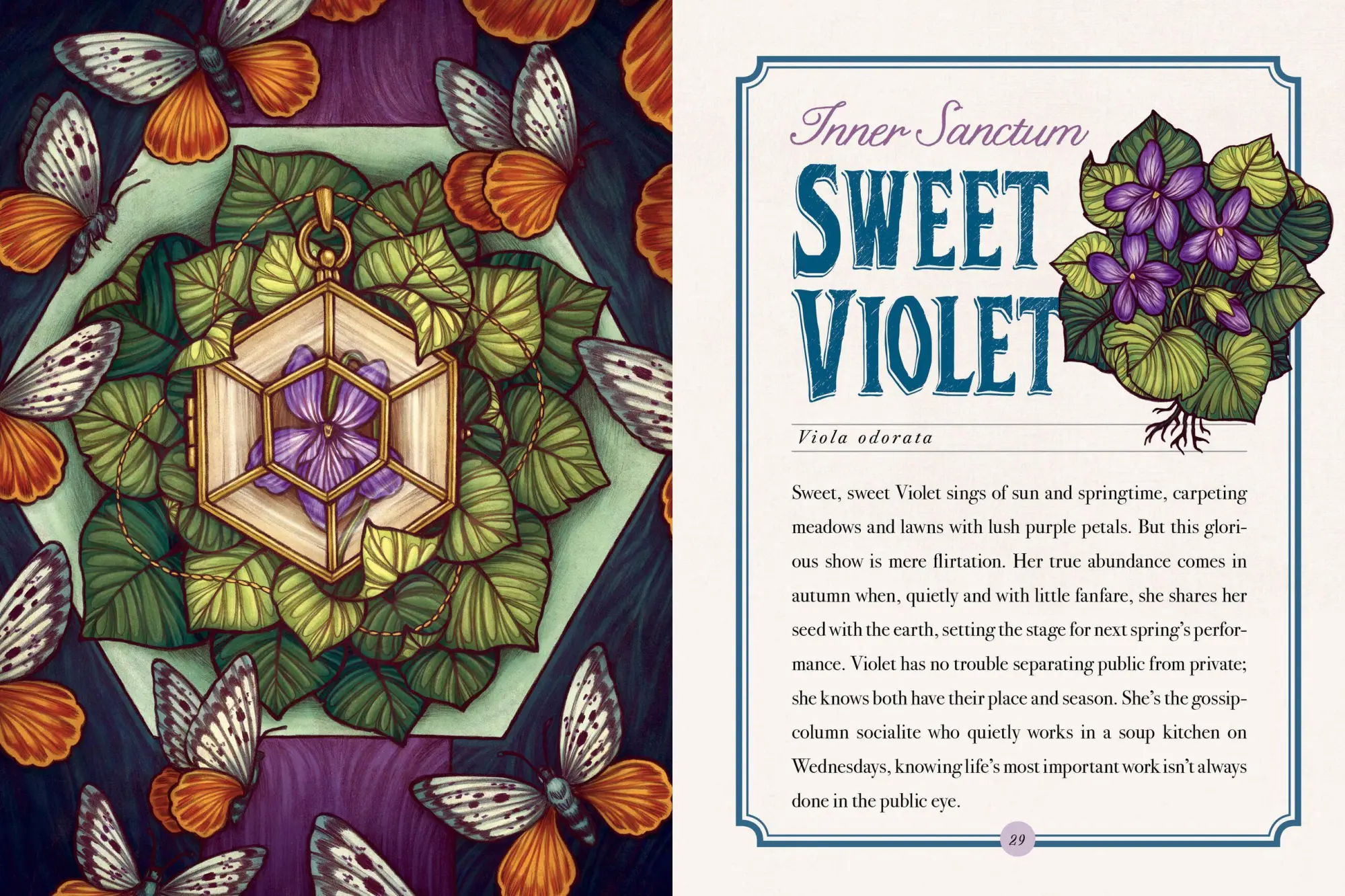 Bild: 9781612129686 | Illustrated Herbiary | Maia Toll | Buch | Wild Wisdom | Gebunden