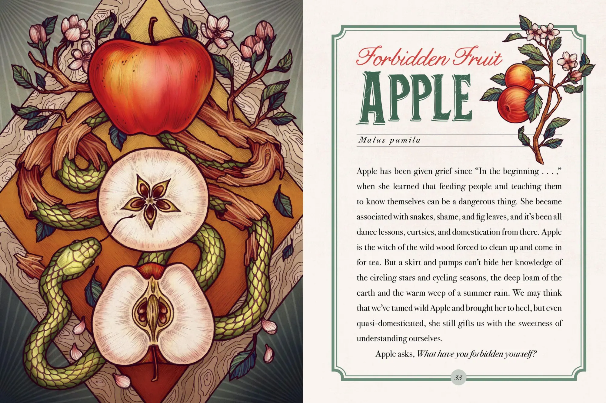 Bild: 9781612129686 | Illustrated Herbiary | Maia Toll | Buch | Wild Wisdom | Gebunden
