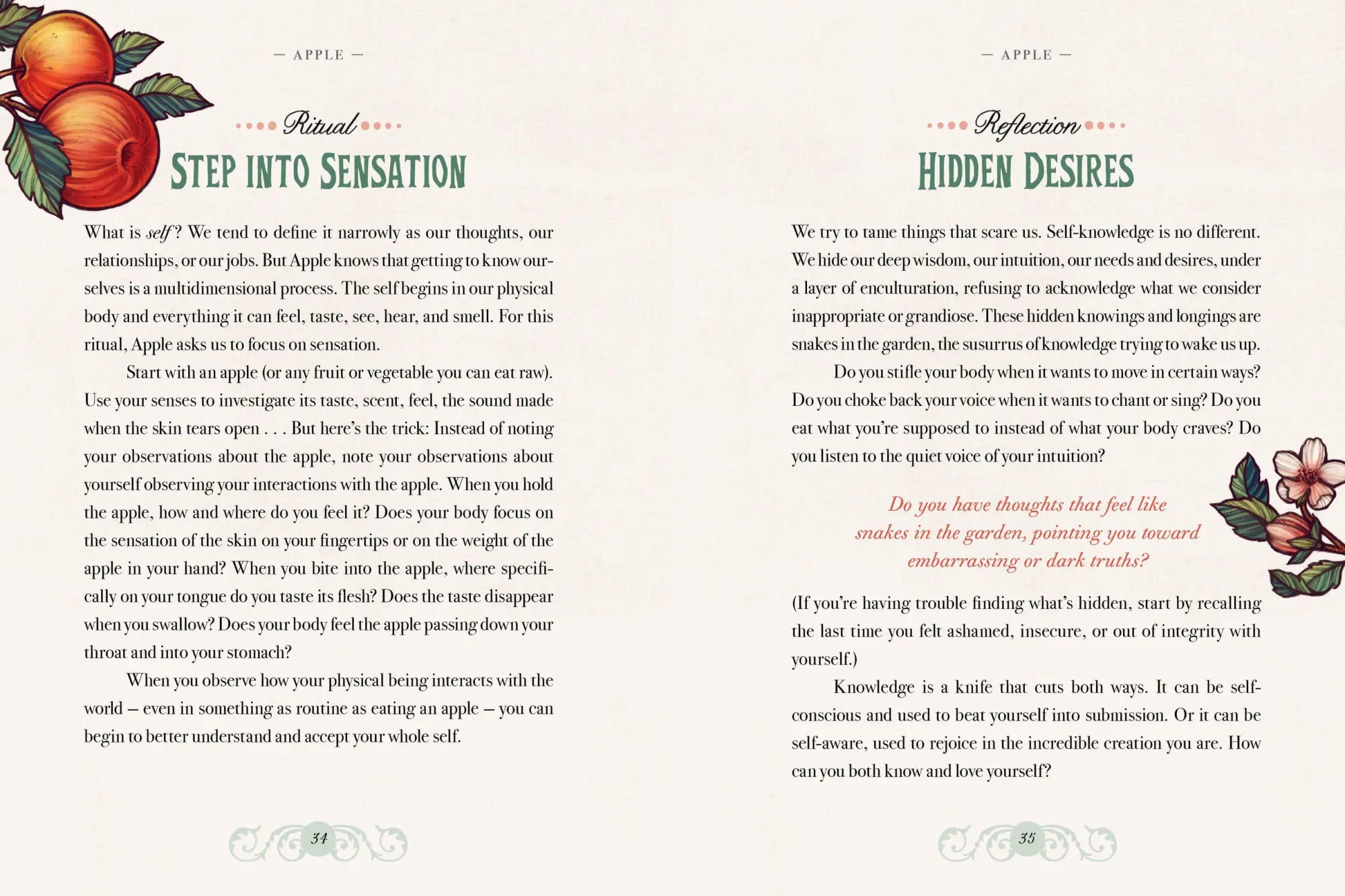 Bild: 9781612129686 | Illustrated Herbiary | Maia Toll | Buch | Wild Wisdom | Gebunden