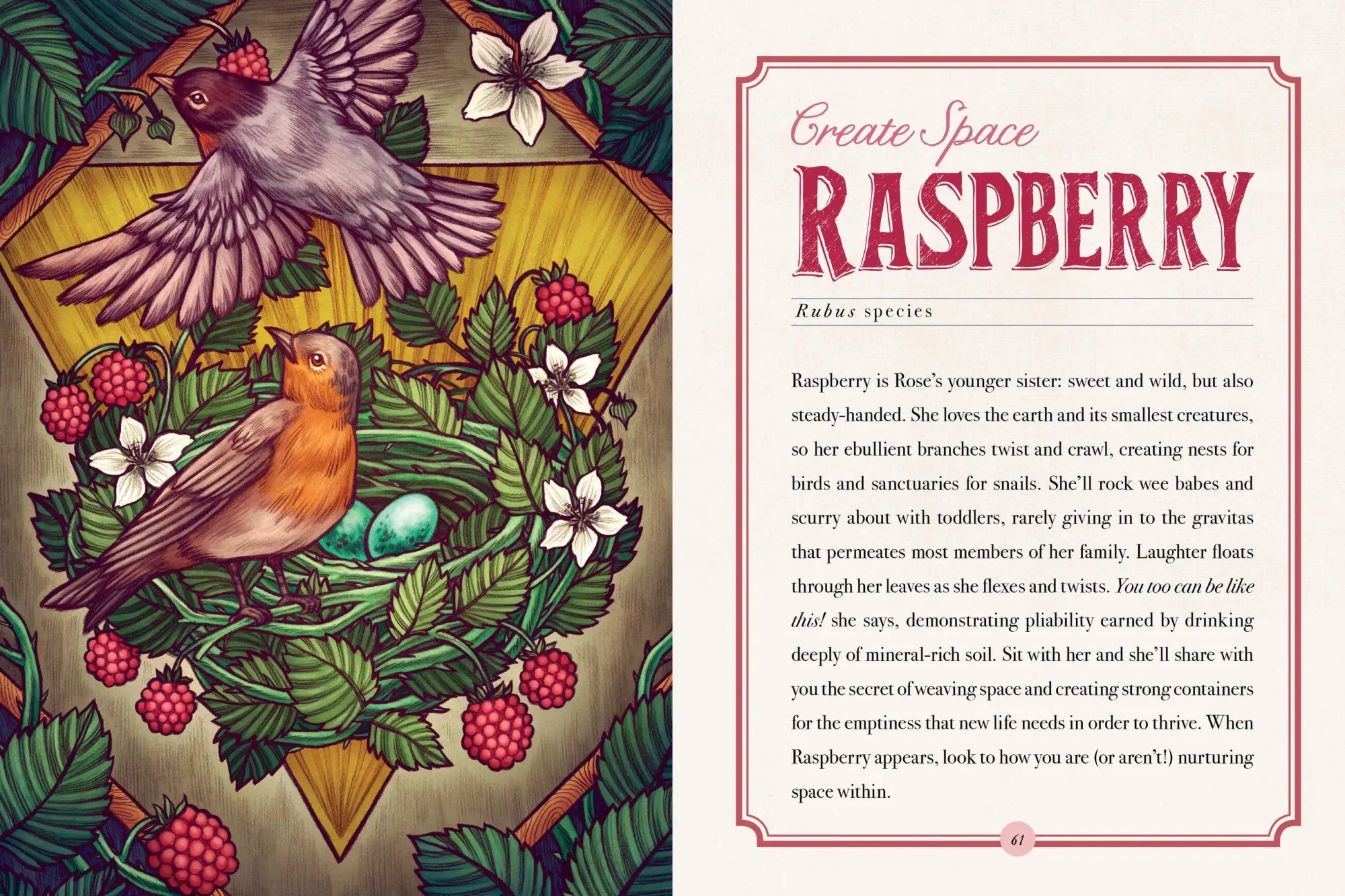 Bild: 9781612129686 | Illustrated Herbiary | Maia Toll | Buch | Wild Wisdom | Gebunden