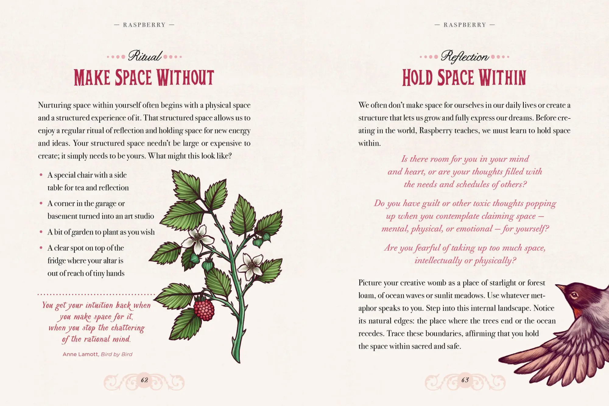 Bild: 9781612129686 | Illustrated Herbiary | Maia Toll | Buch | Wild Wisdom | Gebunden