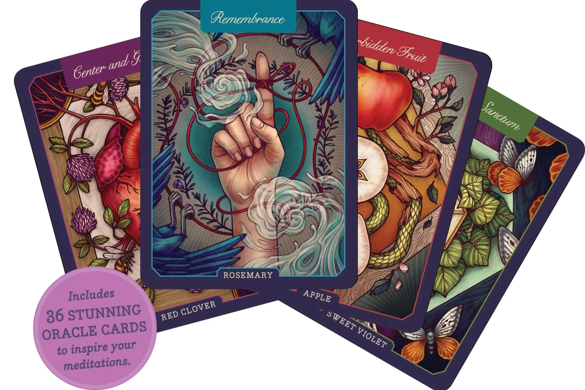 Bild: 9781612129686 | Illustrated Herbiary | Maia Toll | Buch | Wild Wisdom | Gebunden