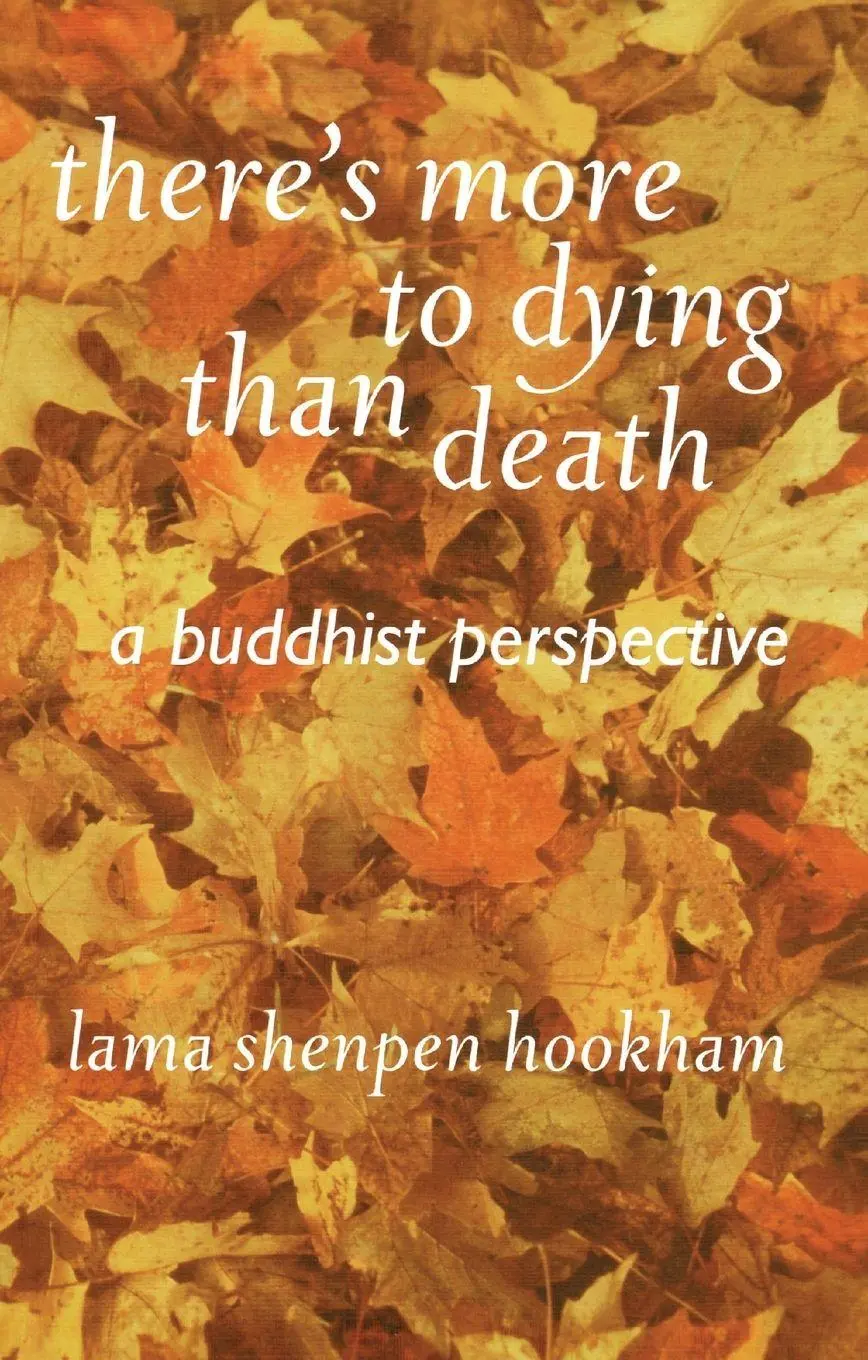Cover: 9781899579686 | There's More to Dying Than Death: A Buddhist Perspective | Hookman