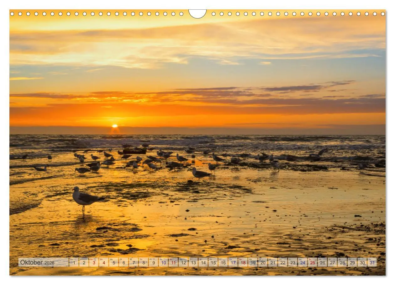Bild: 9783457669686 | Texel - Kleine Insel, große Vielfalt (Wandkalender 2026 DIN A3...